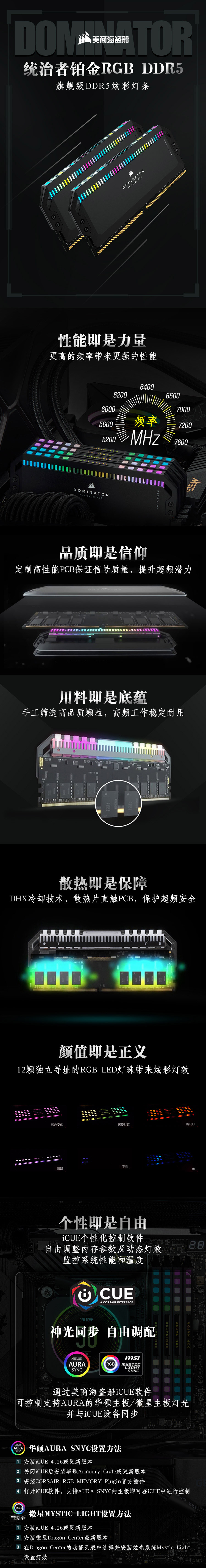 DDR5统治者RGB黑